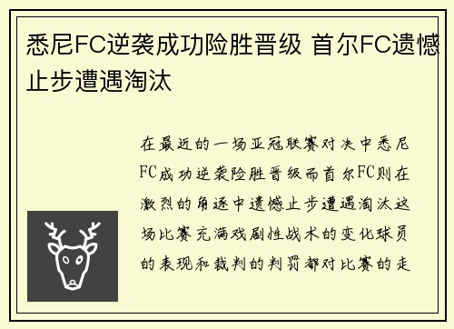 悉尼FC逆袭成功险胜晋级 首尔FC遗憾止步遭遇淘汰