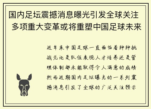 国内足坛震撼消息曝光引发全球关注 多项重大变革或将重塑中国足球未来